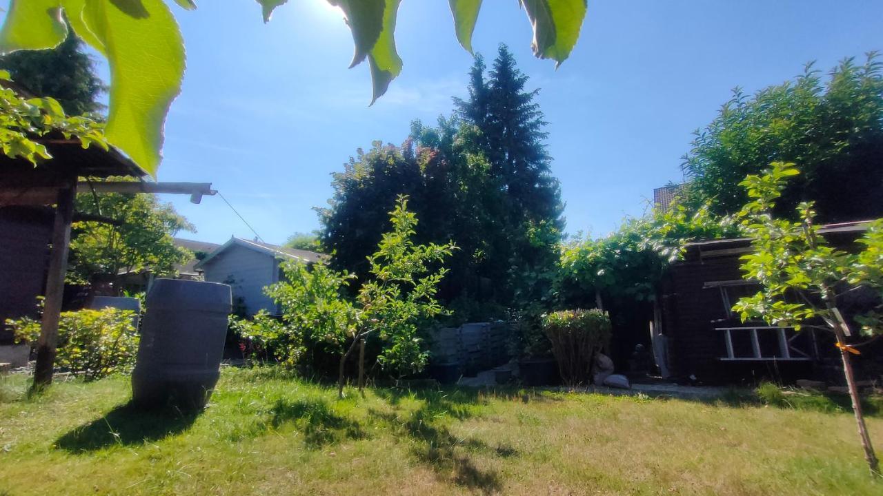 Jan'S Homestay! #Kassel-Lohfelden Exteriér fotografie
