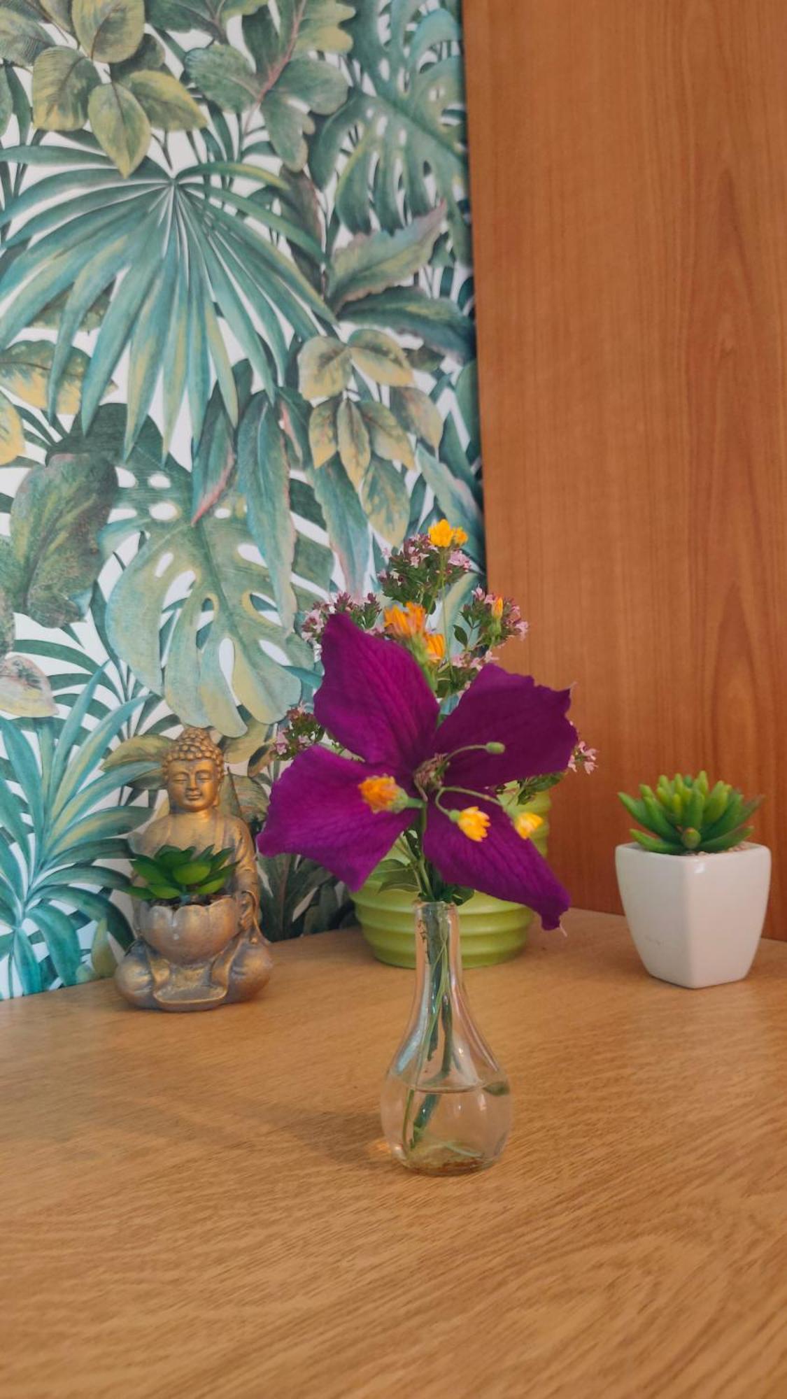 Jan'S Homestay! #Kassel-Lohfelden Pokoj fotografie
